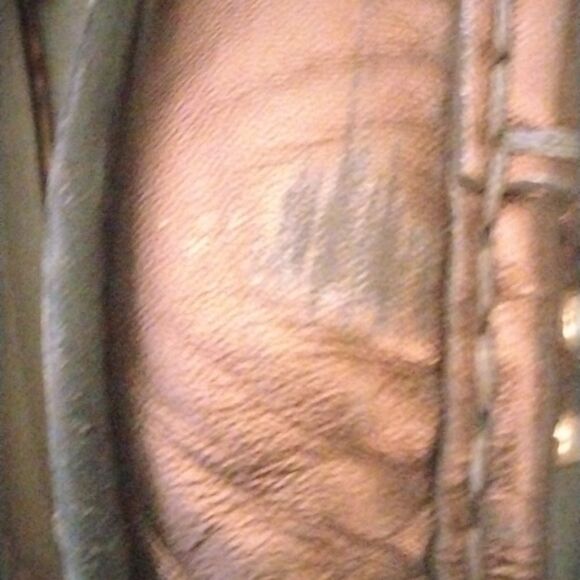 Gucci - Picture 13 of 16